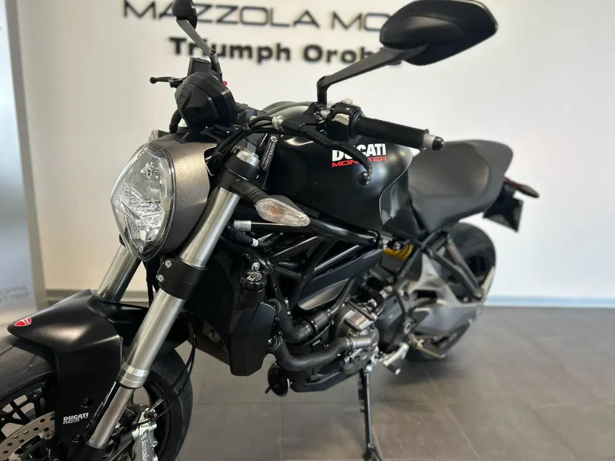 Ducati Monster 821 (2018 - 20) (6)