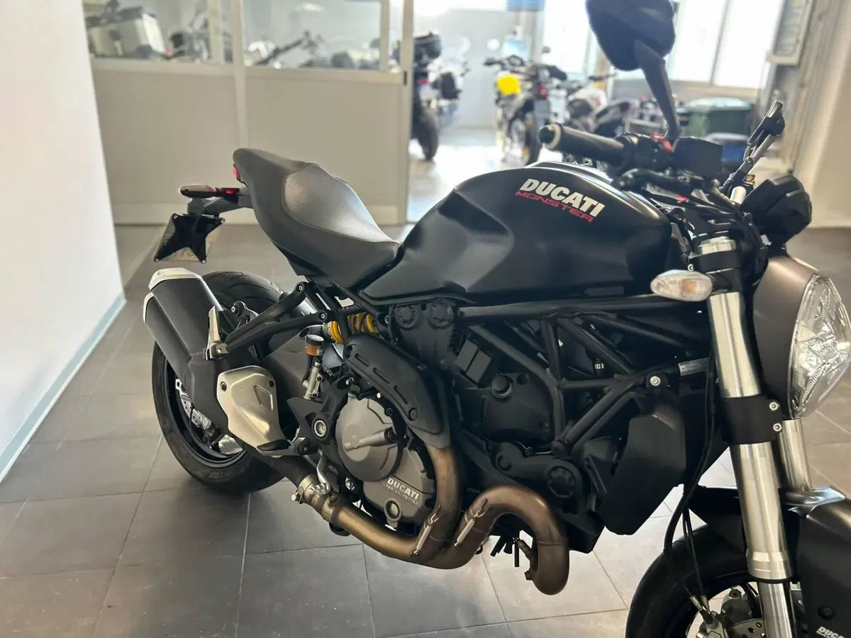 Ducati Monster 821 (2018 - 20) (7)