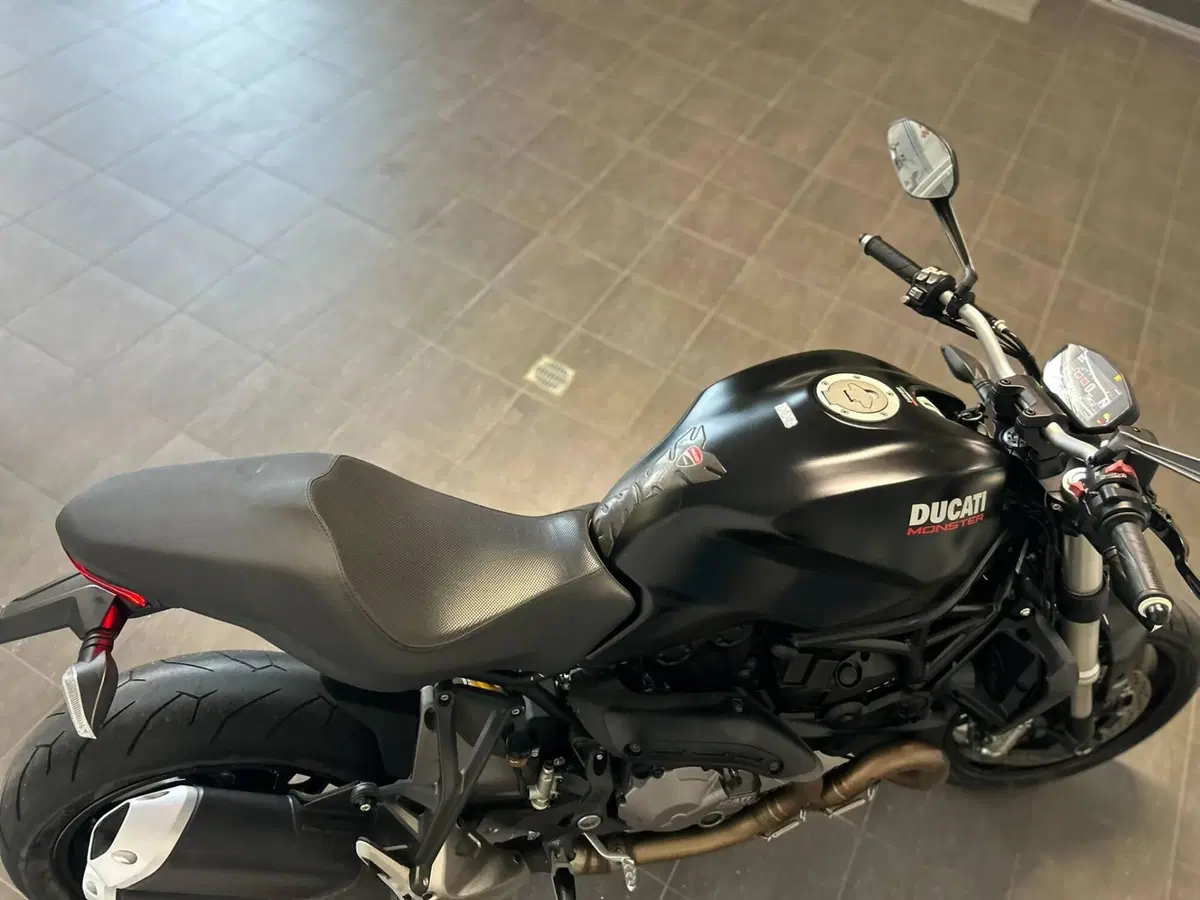 Ducati Monster 821 (2018 - 20) (8)