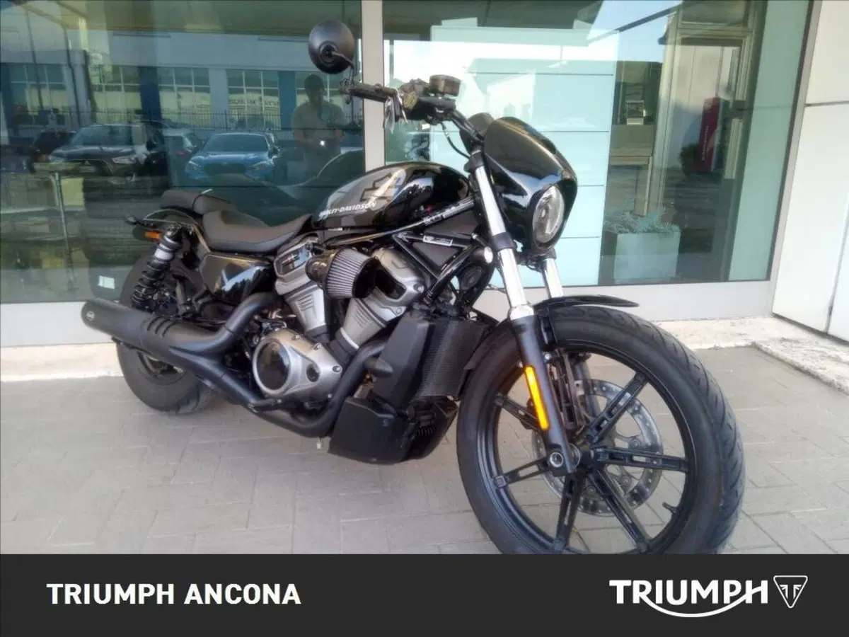 Harley-Davidson Nightster (2023 - 26)