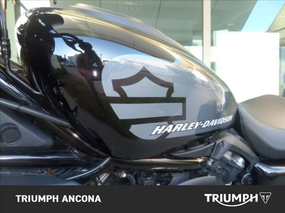 Harley-Davidson Nightster (2023 - 26) (3)