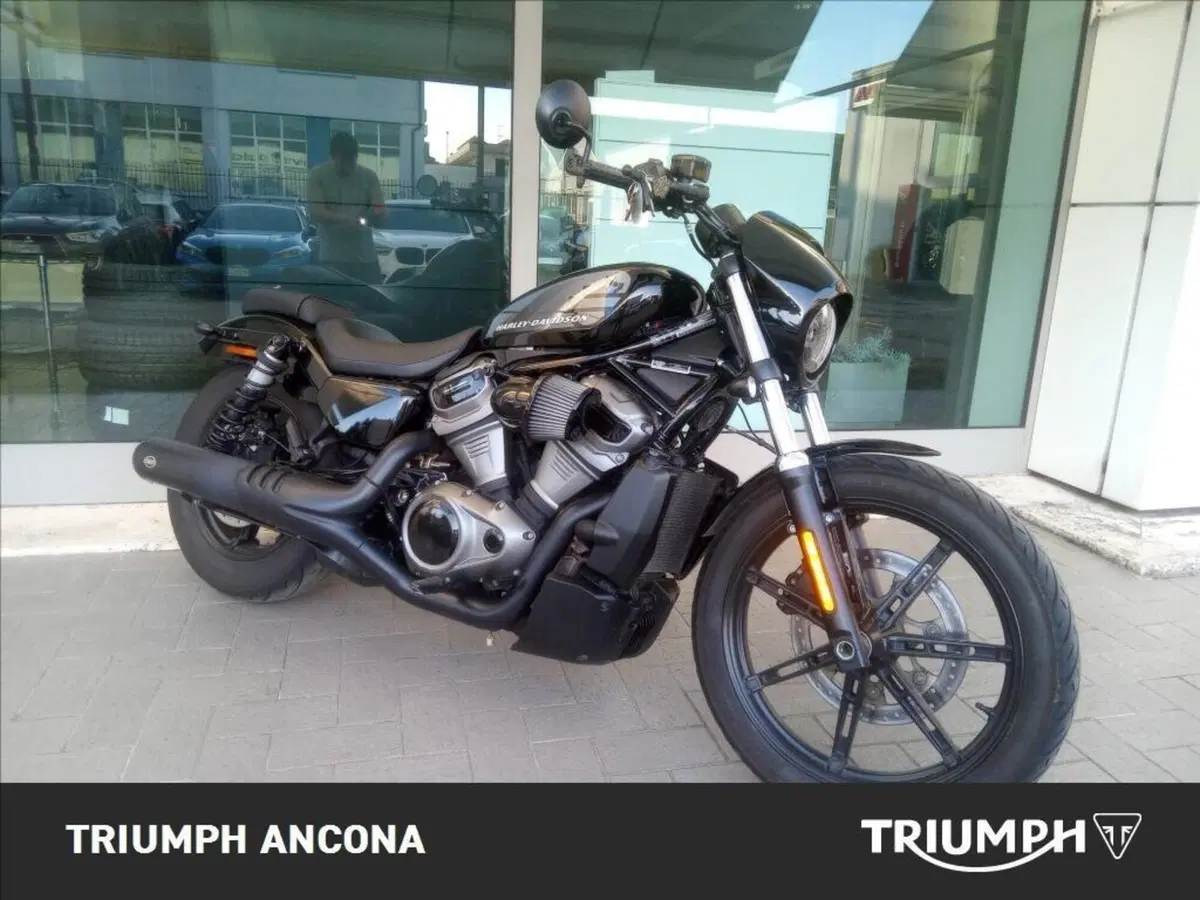 Harley-Davidson Nightster (2023 - 26) (7)