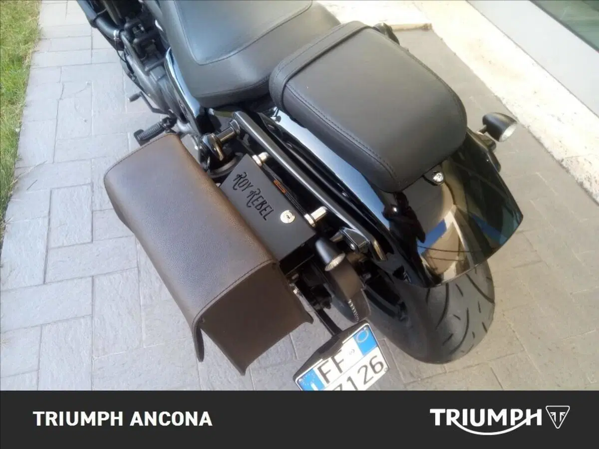 Harley-Davidson Nightster (2023 - 26) (5)