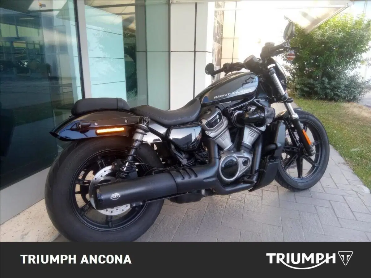Harley-Davidson Nightster (2023 - 26) (9)