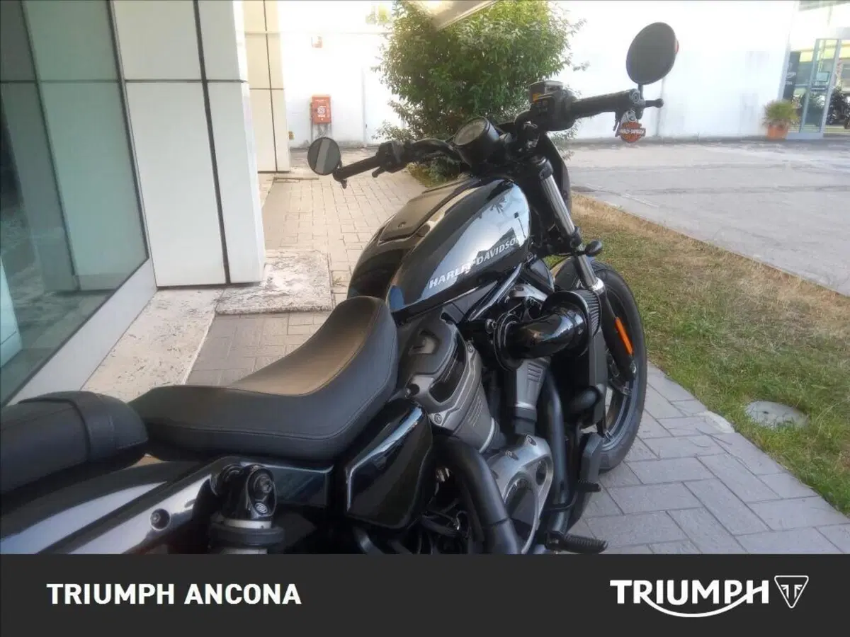 Harley-Davidson Nightster (2023 - 26) (11)