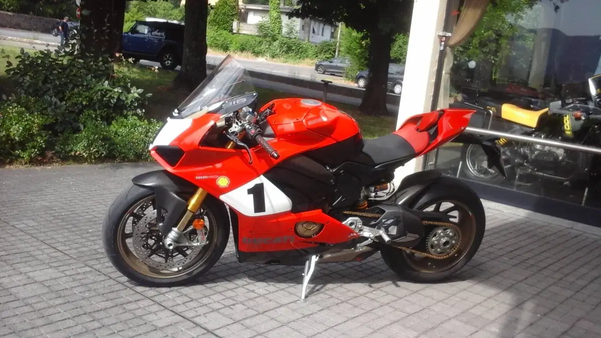 Ducati 1299 Panigale R Final Edition (2017 - 20) (3)