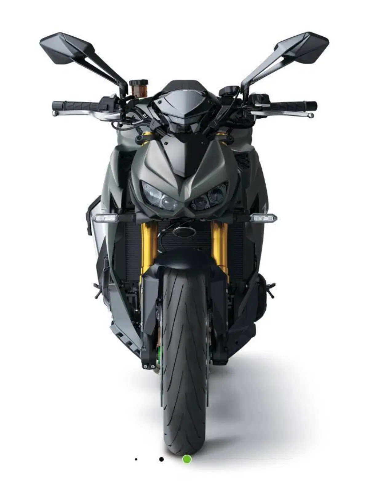 Kawasaki Z 1100 SE (2026) (5)