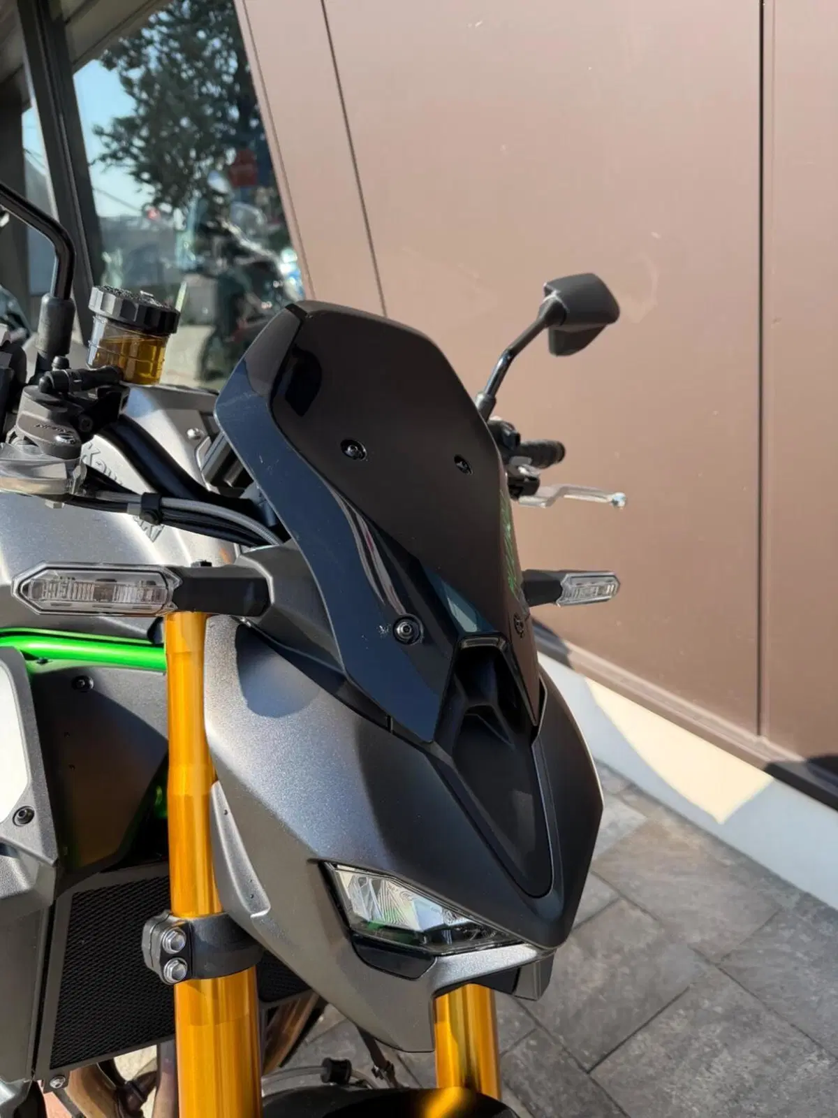 Kawasaki Z 900 SE (2025 - 26) (3)