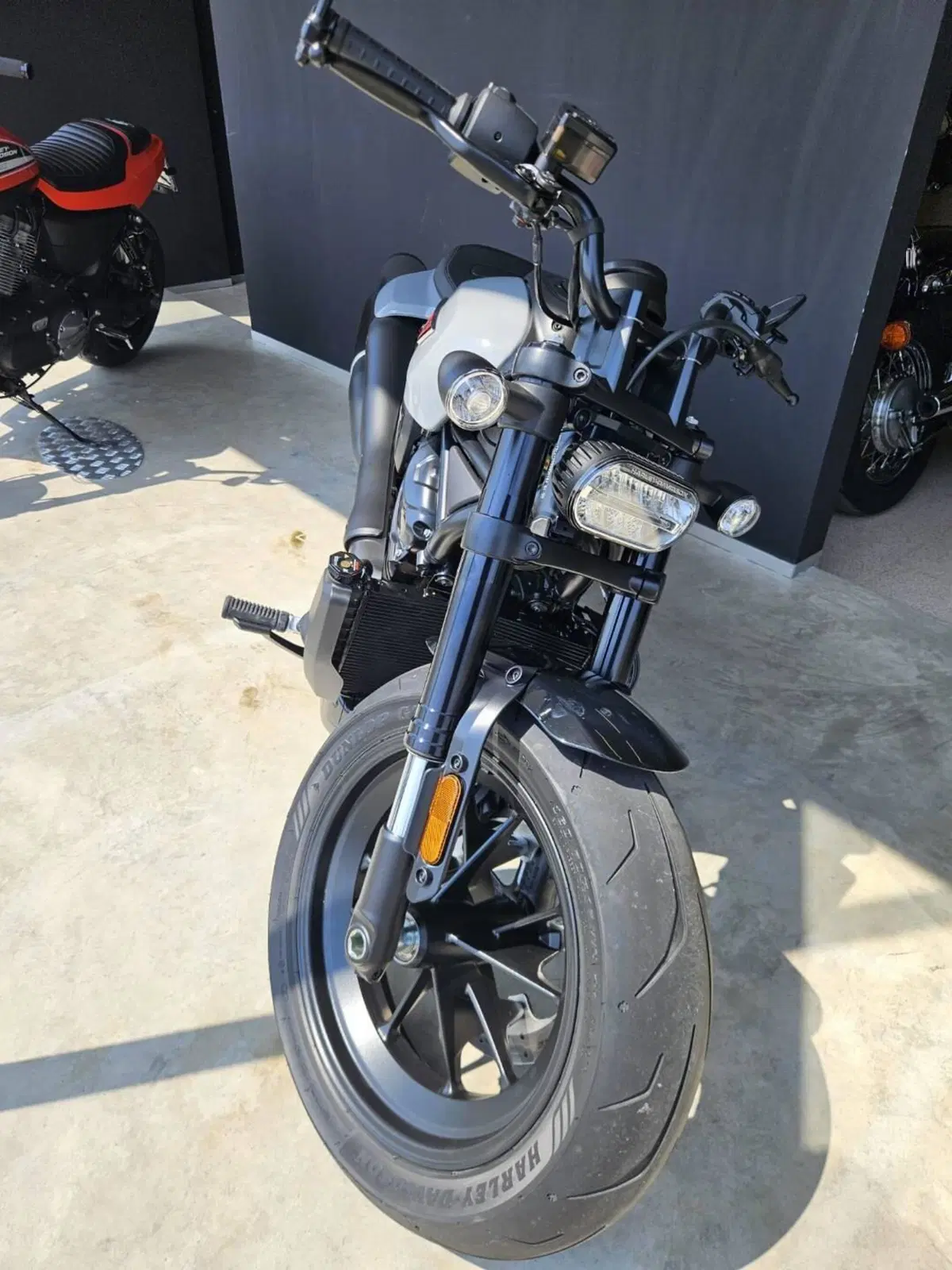 Harley-Davidson Sportster S (2025 - 26) (4)