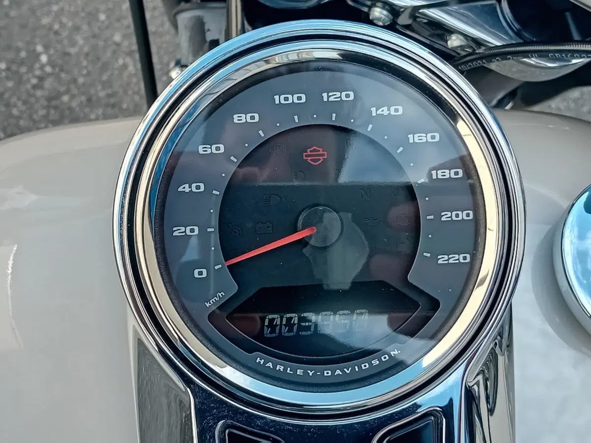 Harley-Davidson Sport Glide (2021 - 25) (5)