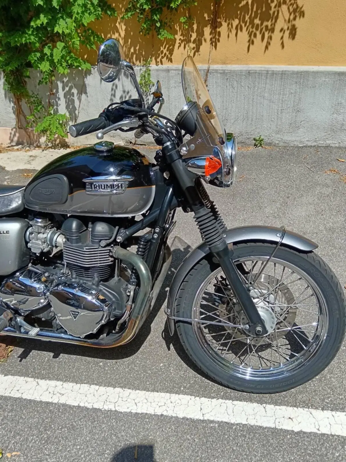 Triumph Bonneville T100 (2008 - 16) (2)
