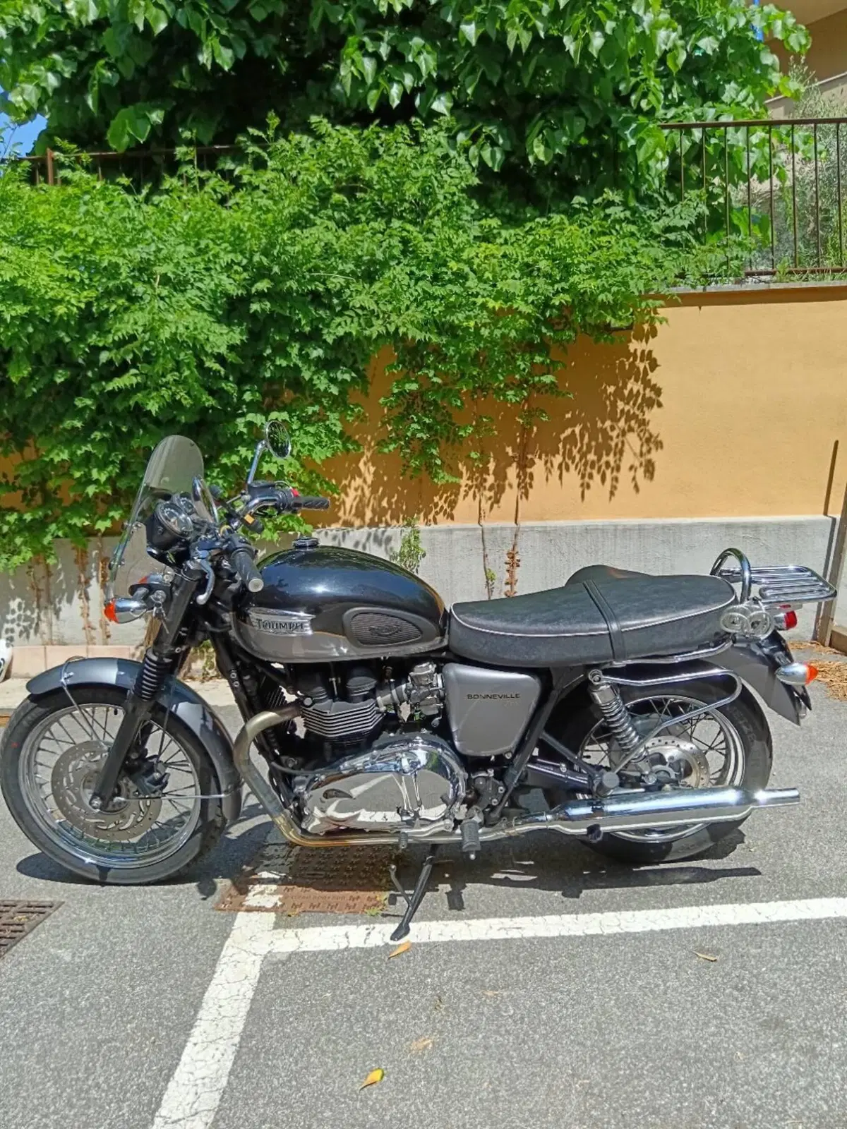 Triumph Bonneville T100 (2008 - 16) (3)