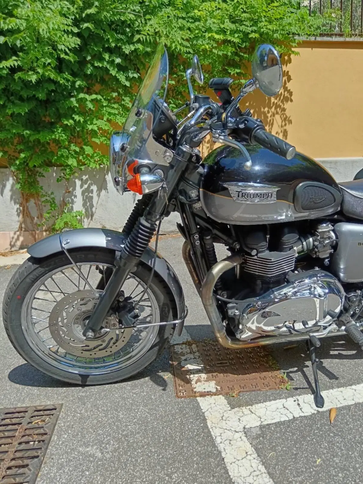 Triumph Bonneville T100 (2008 - 16) (4)