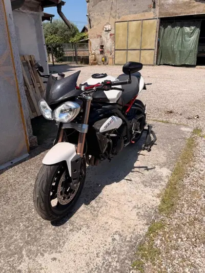 Triumph Speed Triple 1050 (2011 - 13) usata