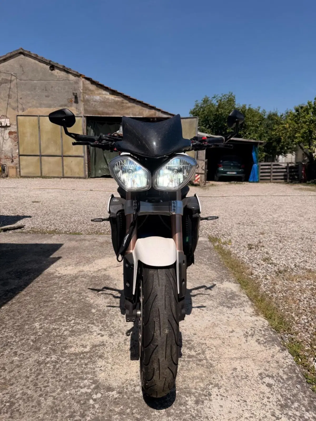 Triumph Speed Triple 1050 (2011 - 13) (2)
