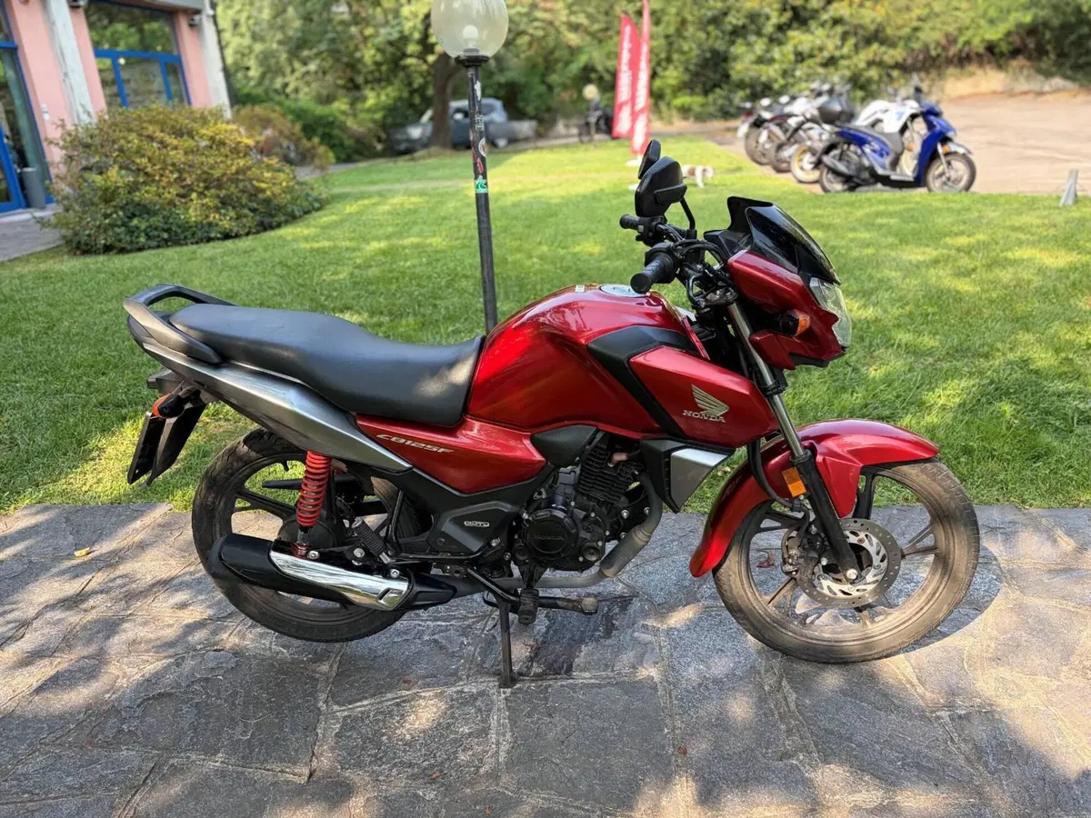 Honda CB 125 F (2021 - 25) (5)