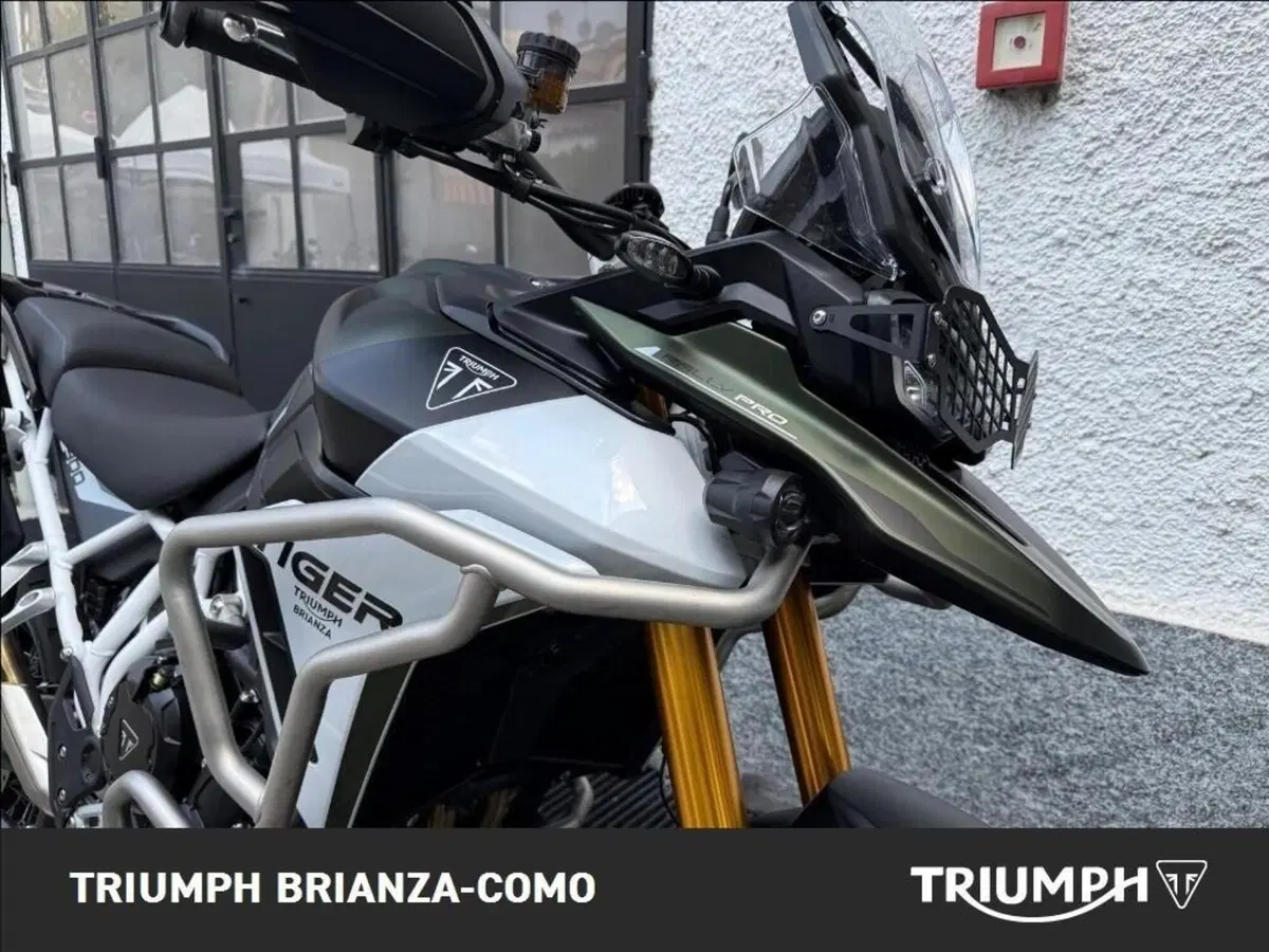 Triumph Tiger 900 Rally Pro (2024 - 26) (9)