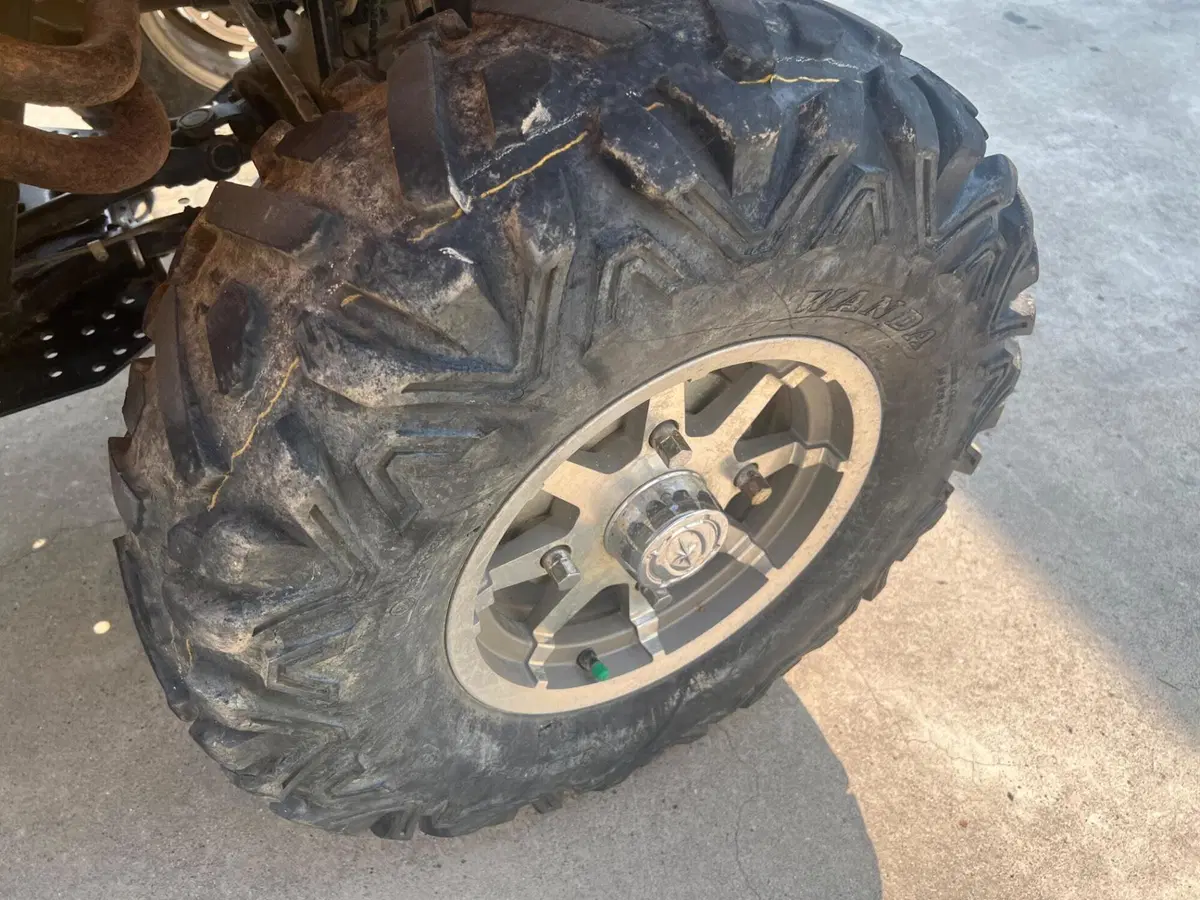 Polaris Sportsman X2 800EFI E Deluxe (2007 - 11) (18)