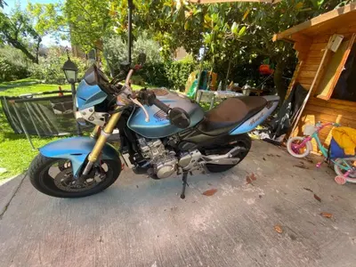 Honda Hornet 600 (2005 - 06) usata