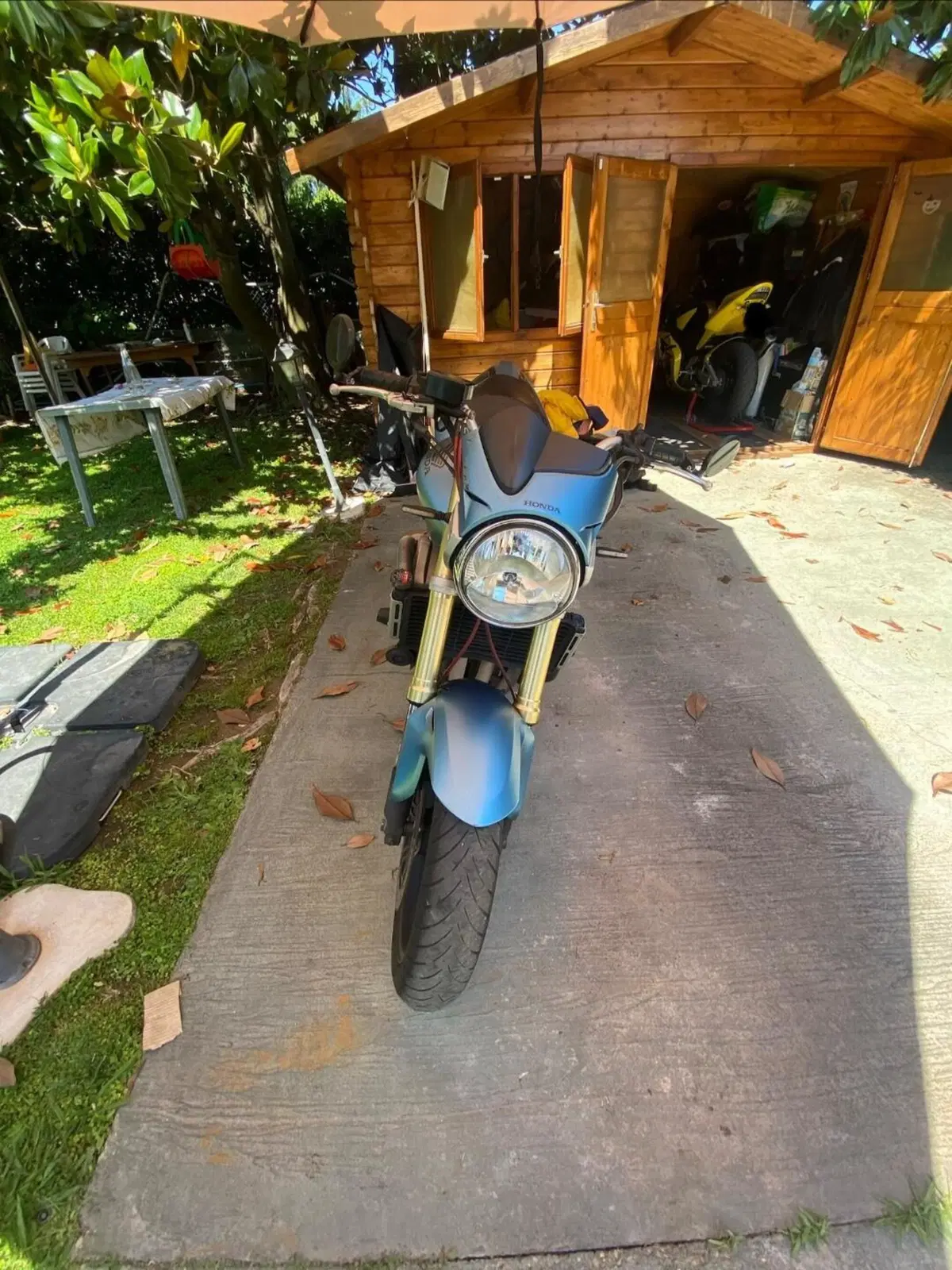 Honda Hornet 600 (2005 - 06) (2)