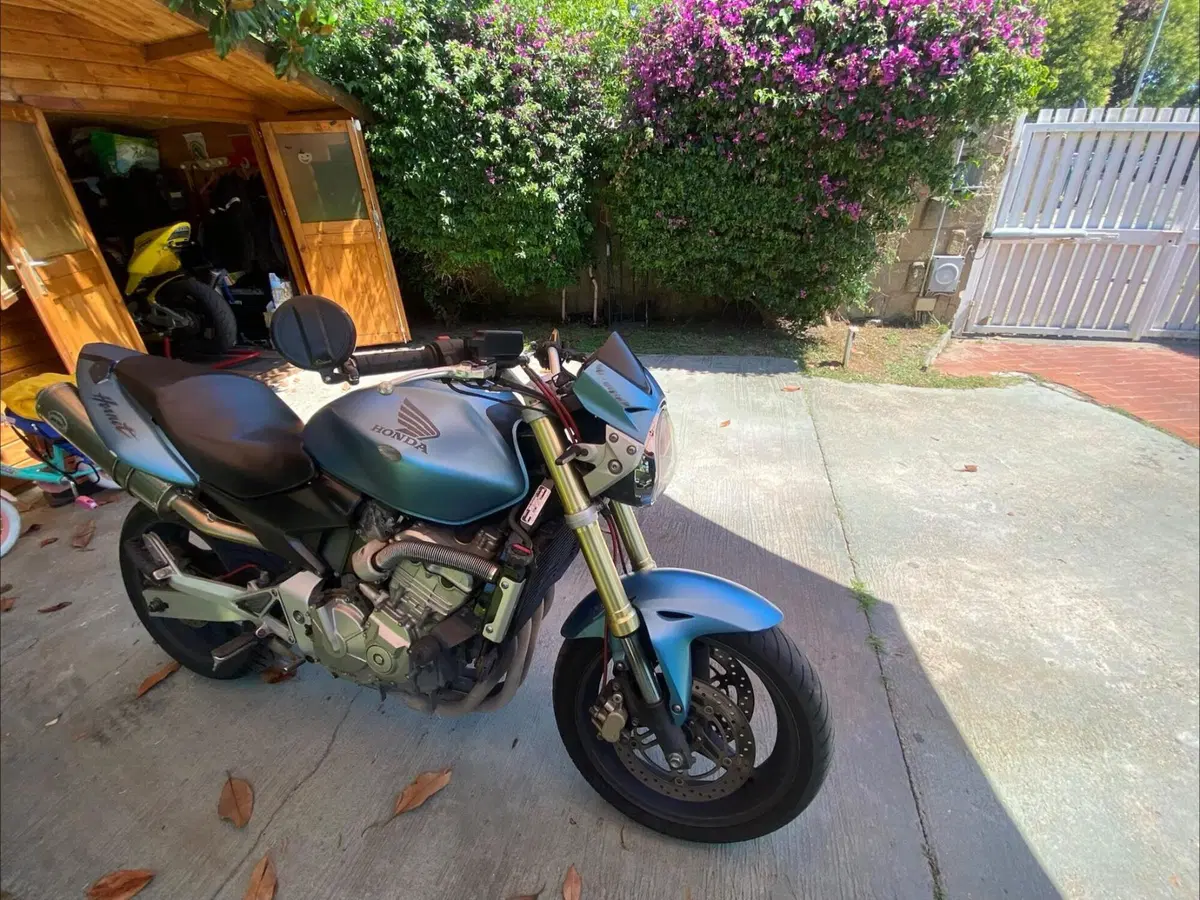 Honda Hornet 600 (2005 - 06) (3)