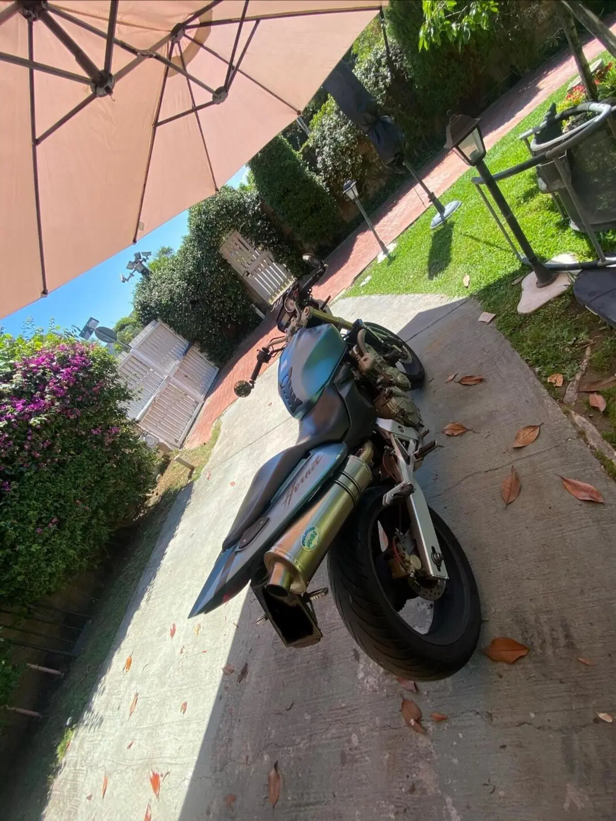 Honda Hornet 600 (2005 - 06) (4)