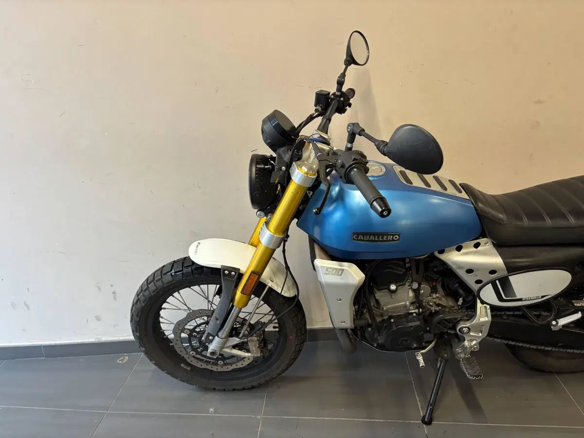 Fantic Motor Caballero 500 Scrambler (2024) (2)