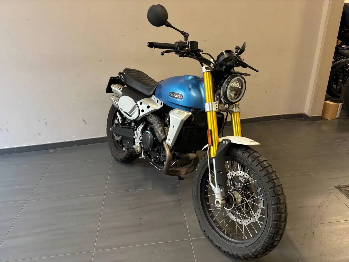 Fantic Motor Caballero 500 Scrambler (2024) (6)