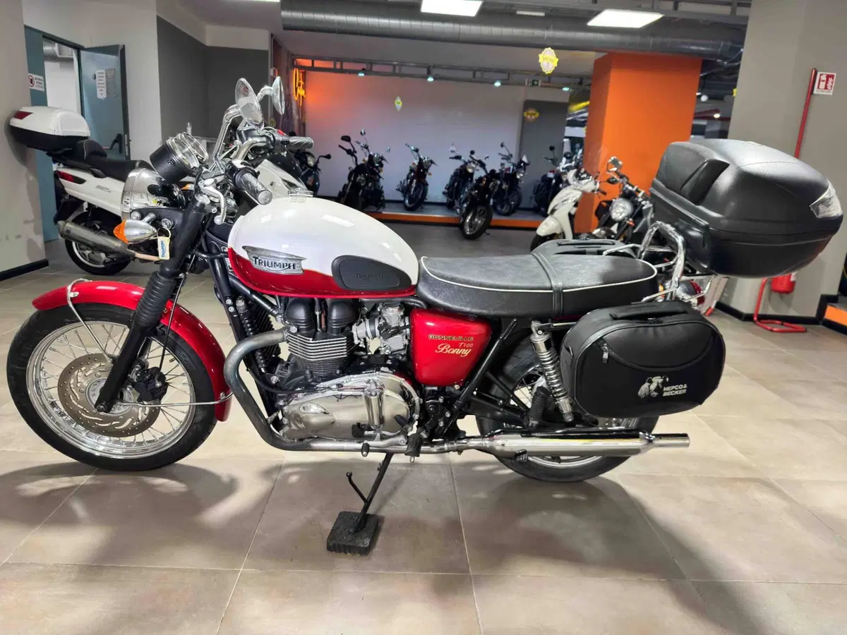 Triumph Bonneville T100 (2008 - 16) (4)