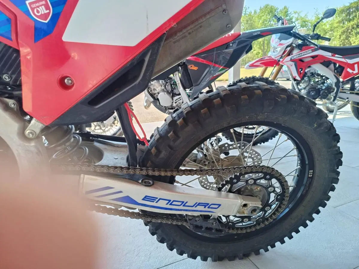 Honda CRF 300RX Enduro (2024) (5)