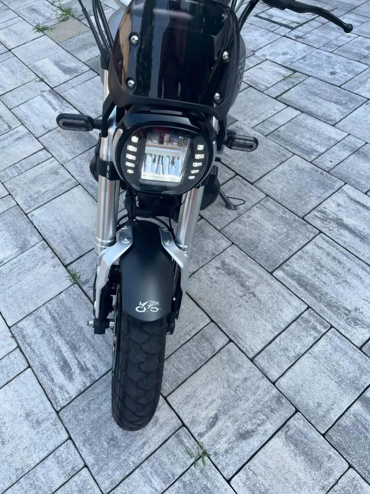 Voge Trofeo 300ACX Scrambler (2021 - 26) (3)