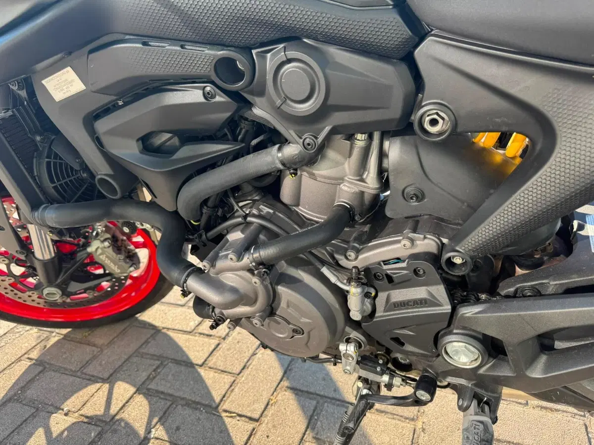 Ducati Monster 937 + (2021 - 25) (9)