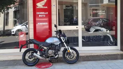 Voge Trofeo 300ACX Scrambler (2021 - 26) usata