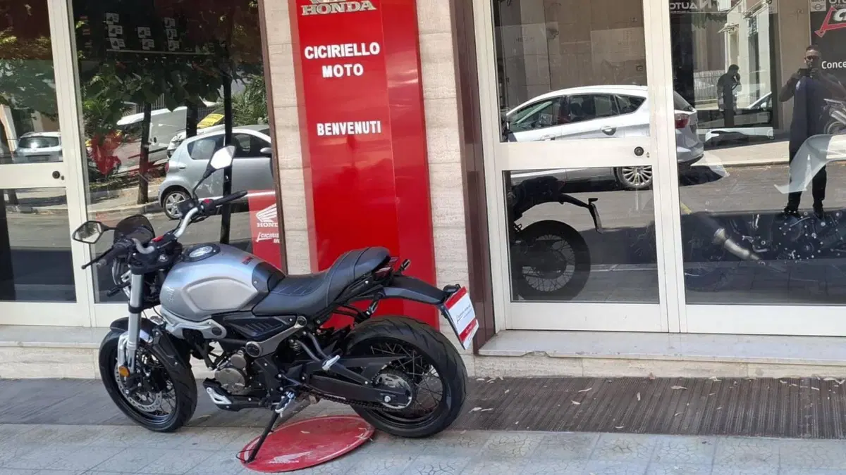 Voge Trofeo 300ACX Scrambler (2021 - 26) (8)