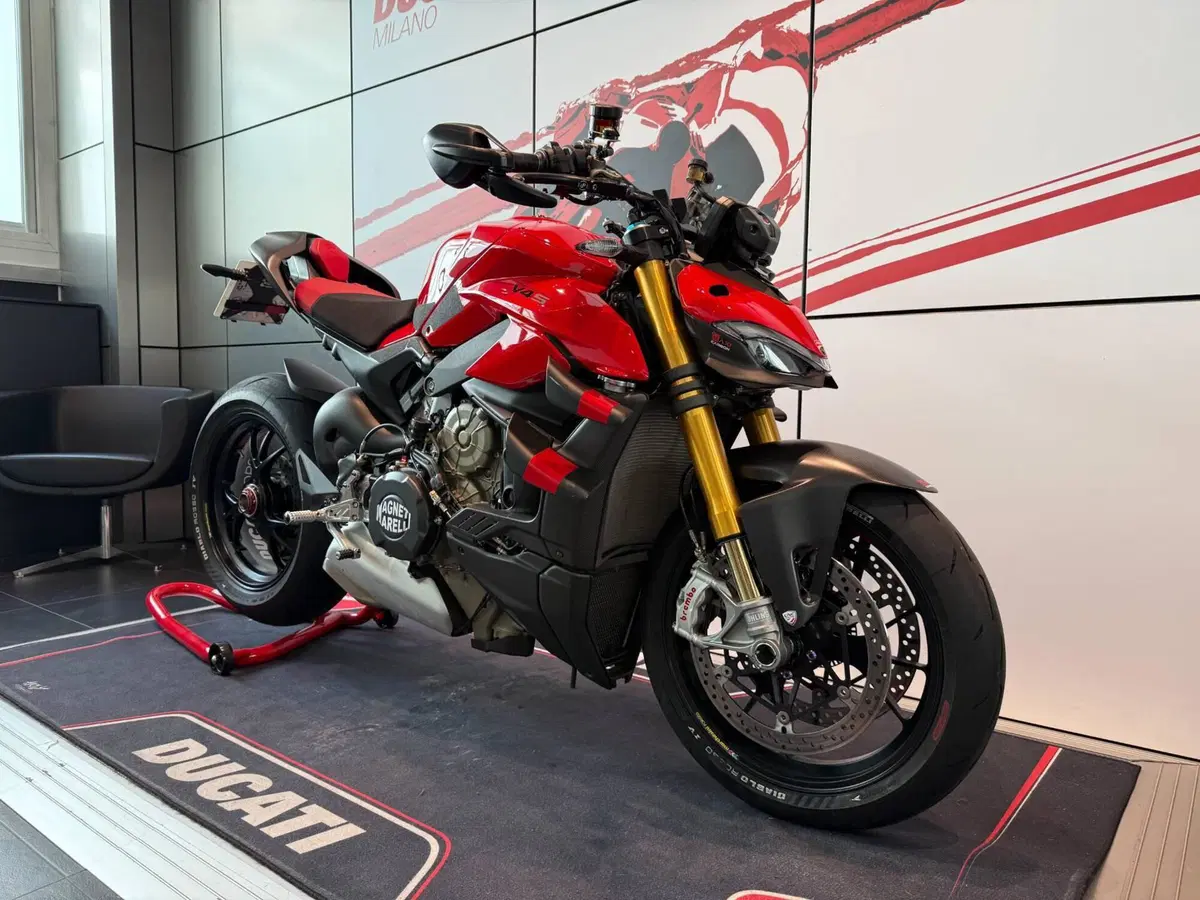 Ducati Streetfighter V4 S (2023 - 24) (2)