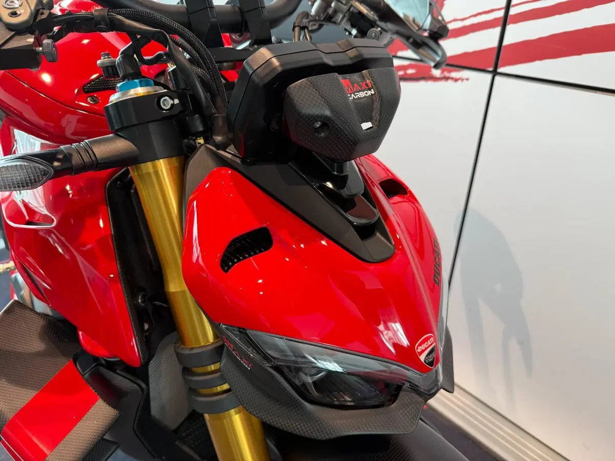 Ducati Streetfighter V4 S (2023 - 24) (4)