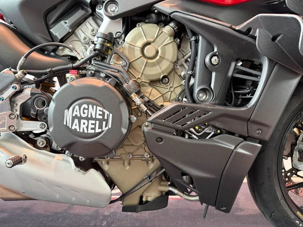 Ducati Streetfighter V4 S (2023 - 24) (5)