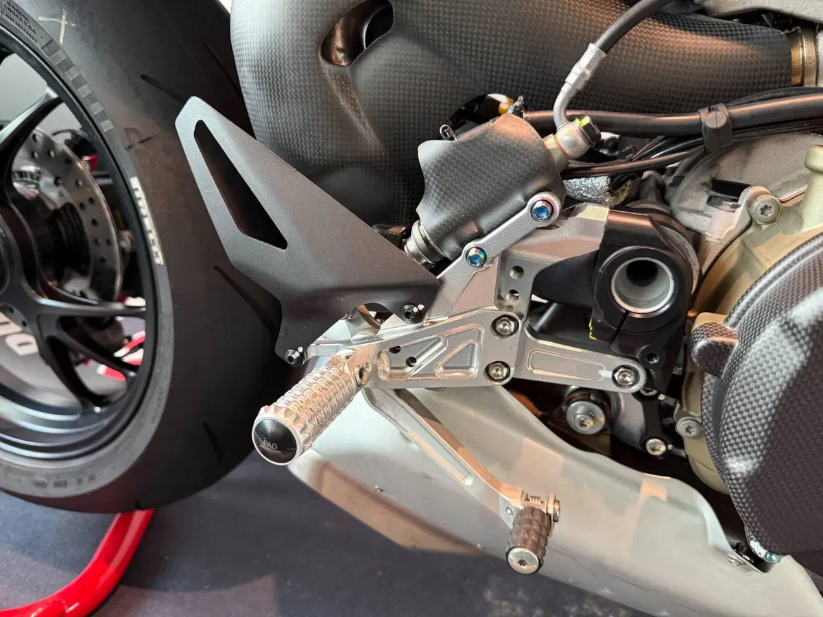 Ducati Streetfighter V4 S (2023 - 24) (6)