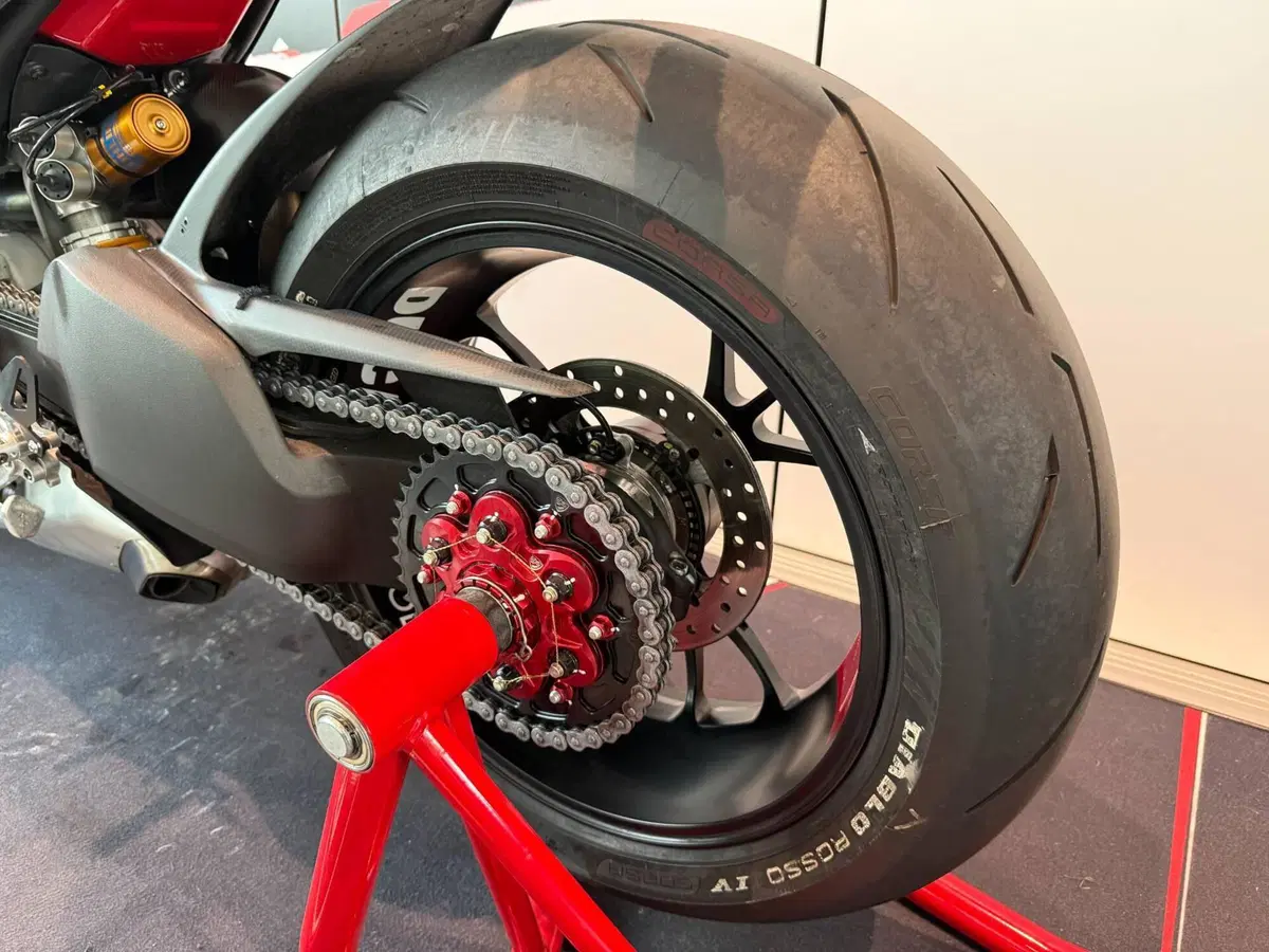 Ducati Streetfighter V4 S (2023 - 24) (9)