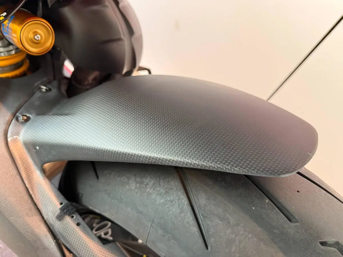 Ducati Streetfighter V4 S (2023 - 24) (10)
