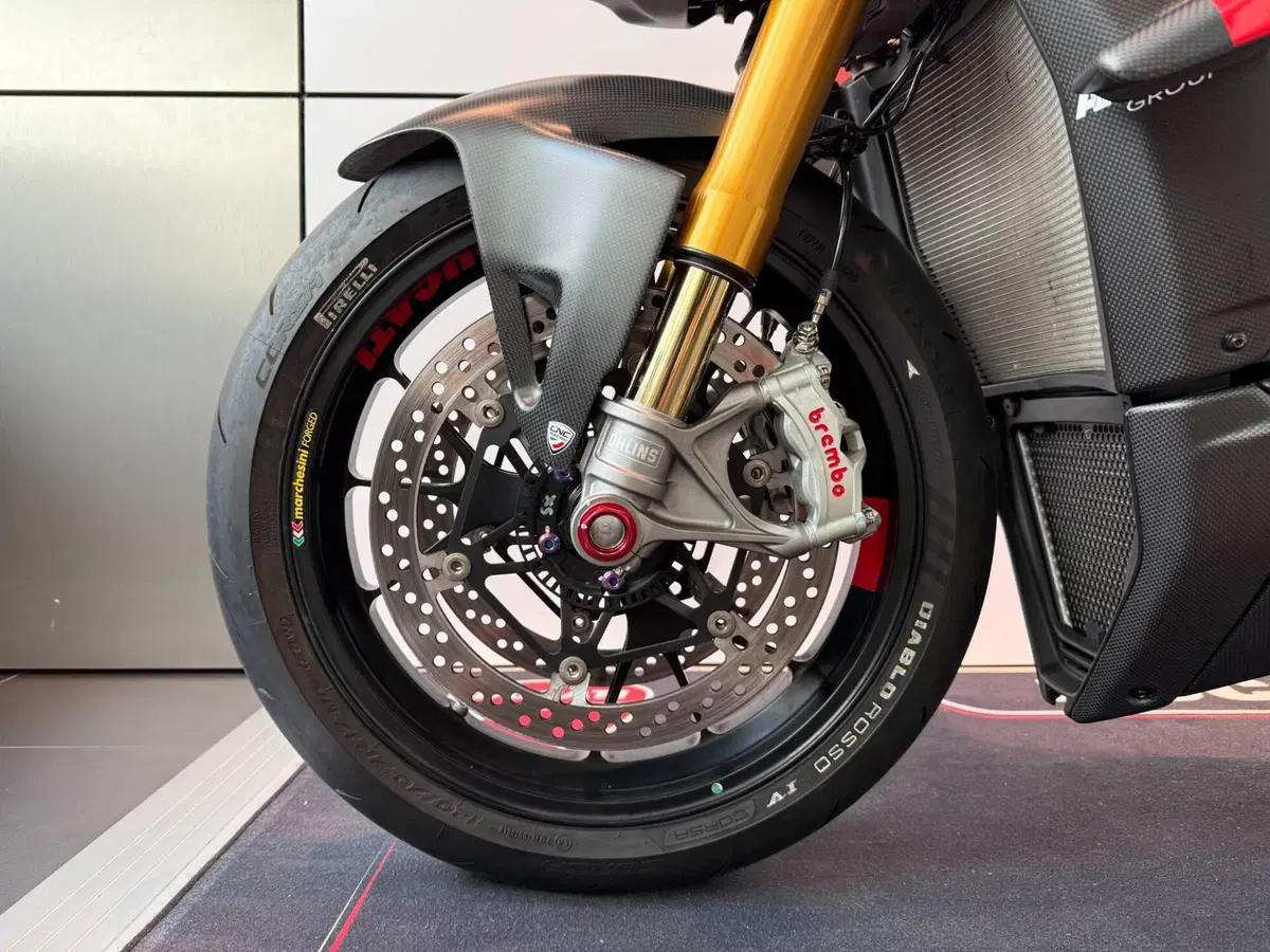 Ducati Streetfighter V4 S (2023 - 24) (12)