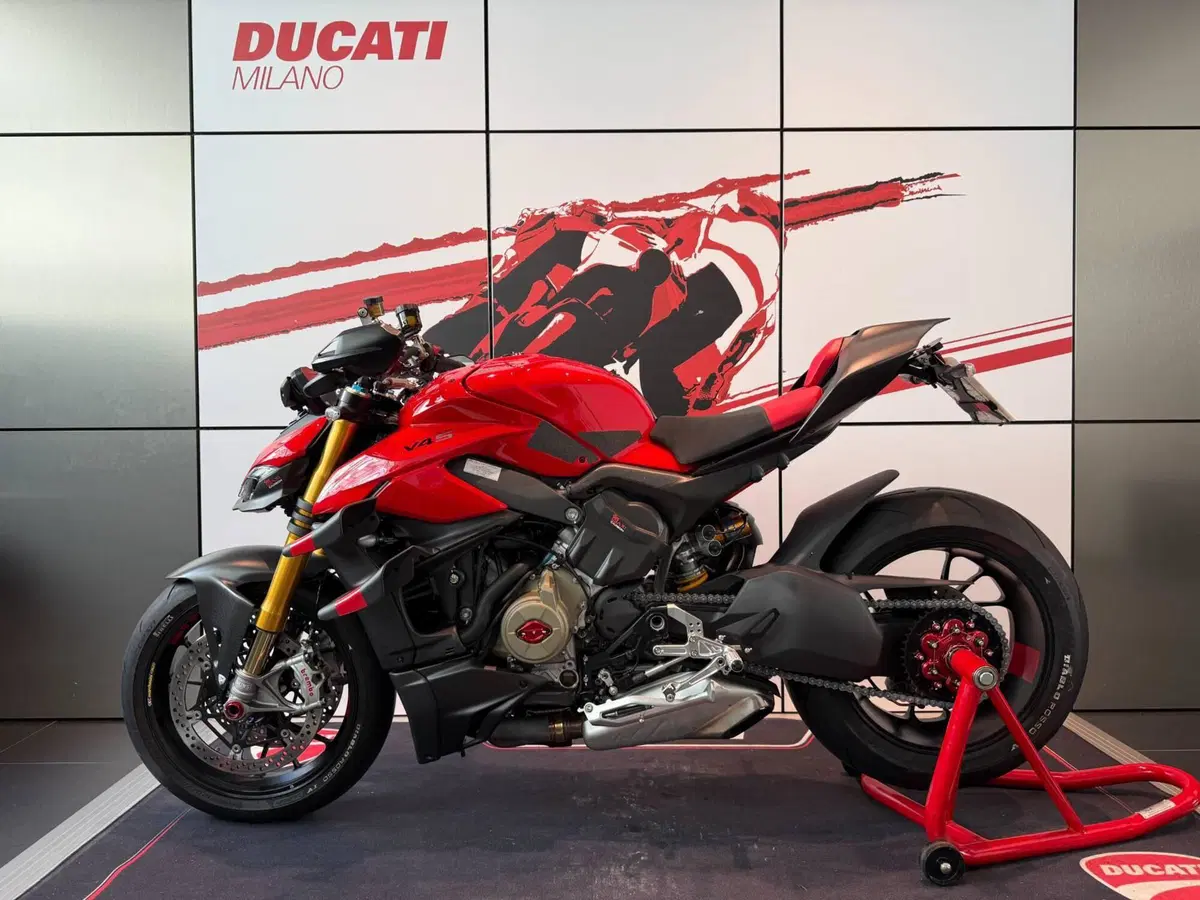 Ducati Streetfighter V4 S (2023 - 24) (13)