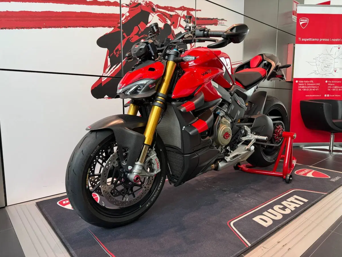 Ducati Streetfighter V4 S (2023 - 24) (14)