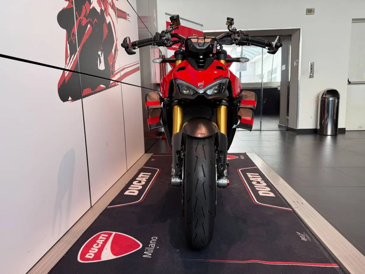 Ducati Streetfighter V4 S (2023 - 24) (15)