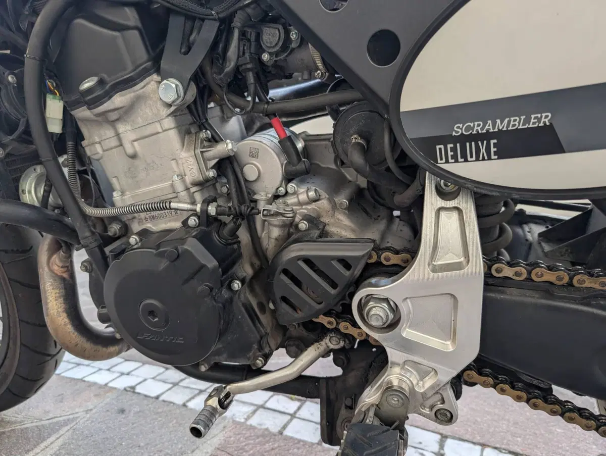 Fantic Motor Caballero 500 Scrambler Deluxe (2021 - 23) (6)