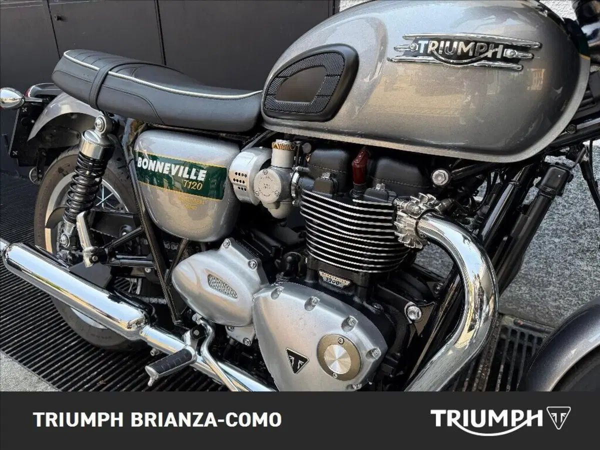 Triumph Bonneville T120 Gold Line Edition (2022 - 23) (4)