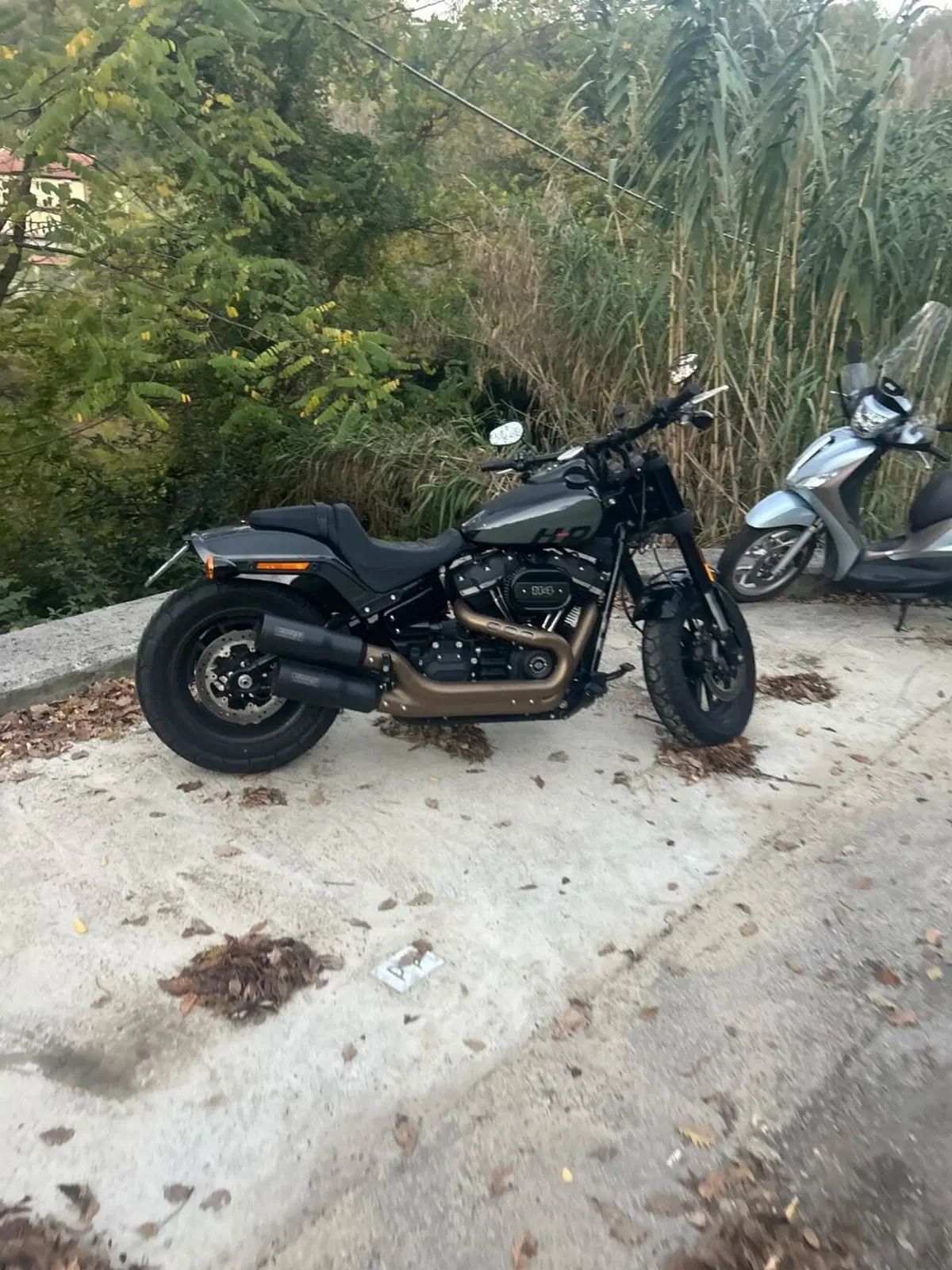 Harley-Davidson Fat Bob 114 (2021 - 25) (3)