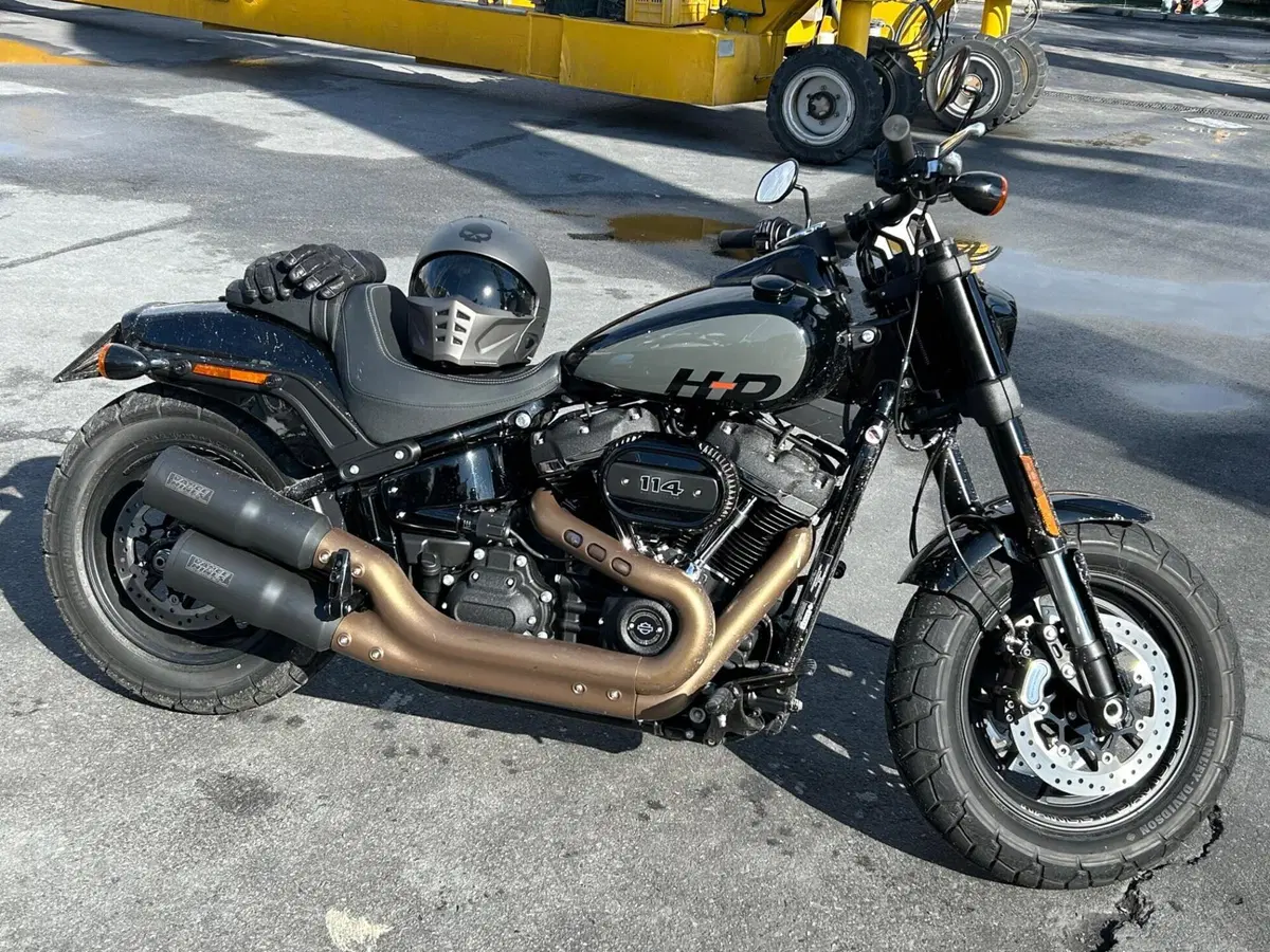 Harley-Davidson Fat Bob 114 (2021 - 25) (4)