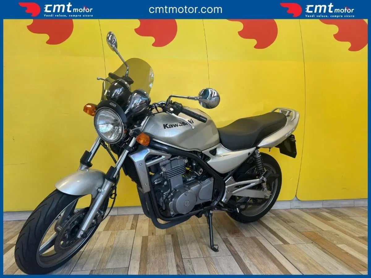 Kawasaki ER-5 500 (2001 - 06) (2)