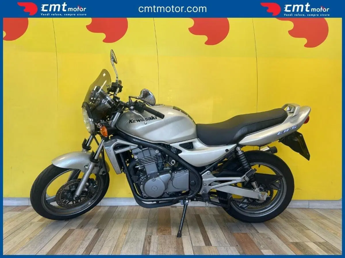 Kawasaki ER-5 500 (2001 - 06) (3)